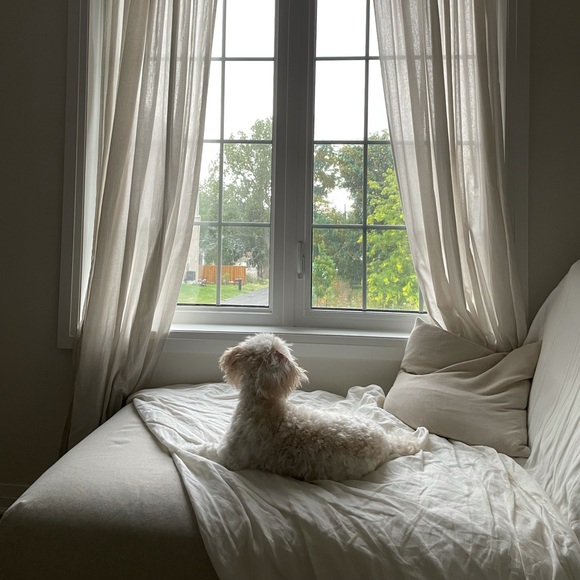 Meet your Posher, Marina - Picture 1 of 1